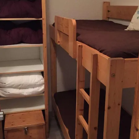 3 Pieces Au Coeur De Avec Wifi Et Acces Direct Aux Pistes - Fr-1-545-30